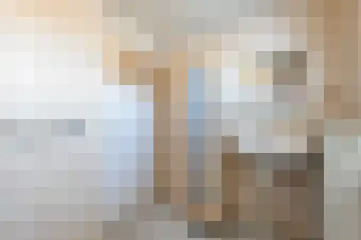 Haghoeksweg 37 Almelo thumbnail 31