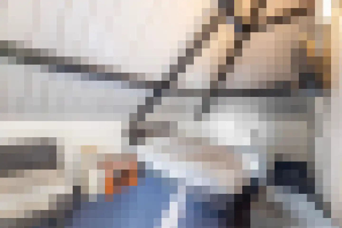 Haghoeksweg 37 Almelo thumbnail 34
