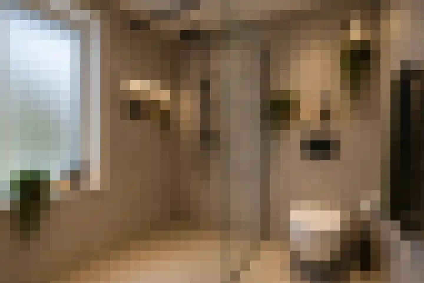 Haghoeksweg 37 Almelo thumbnail 35