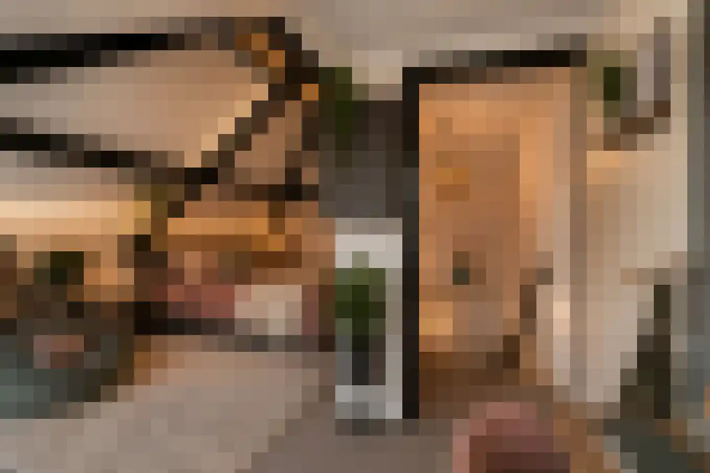 Haghoeksweg 37 Almelo thumbnail 38