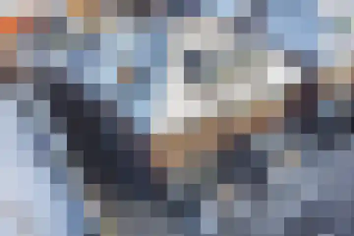 Haghoeksweg 37 Almelo thumbnail 5