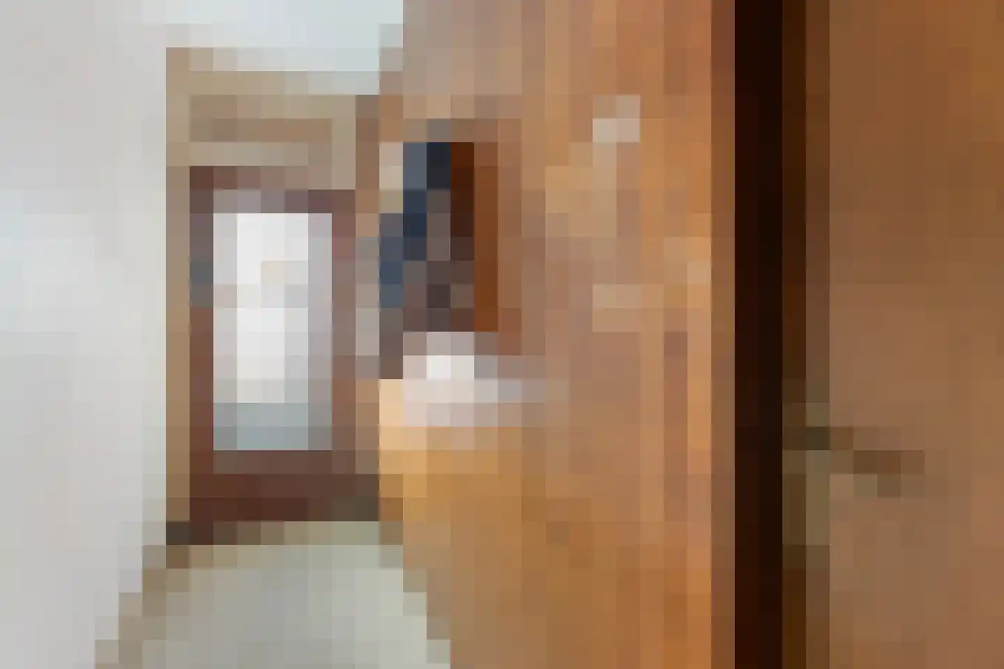 Haghoeksweg 37 Almelo thumbnail 5