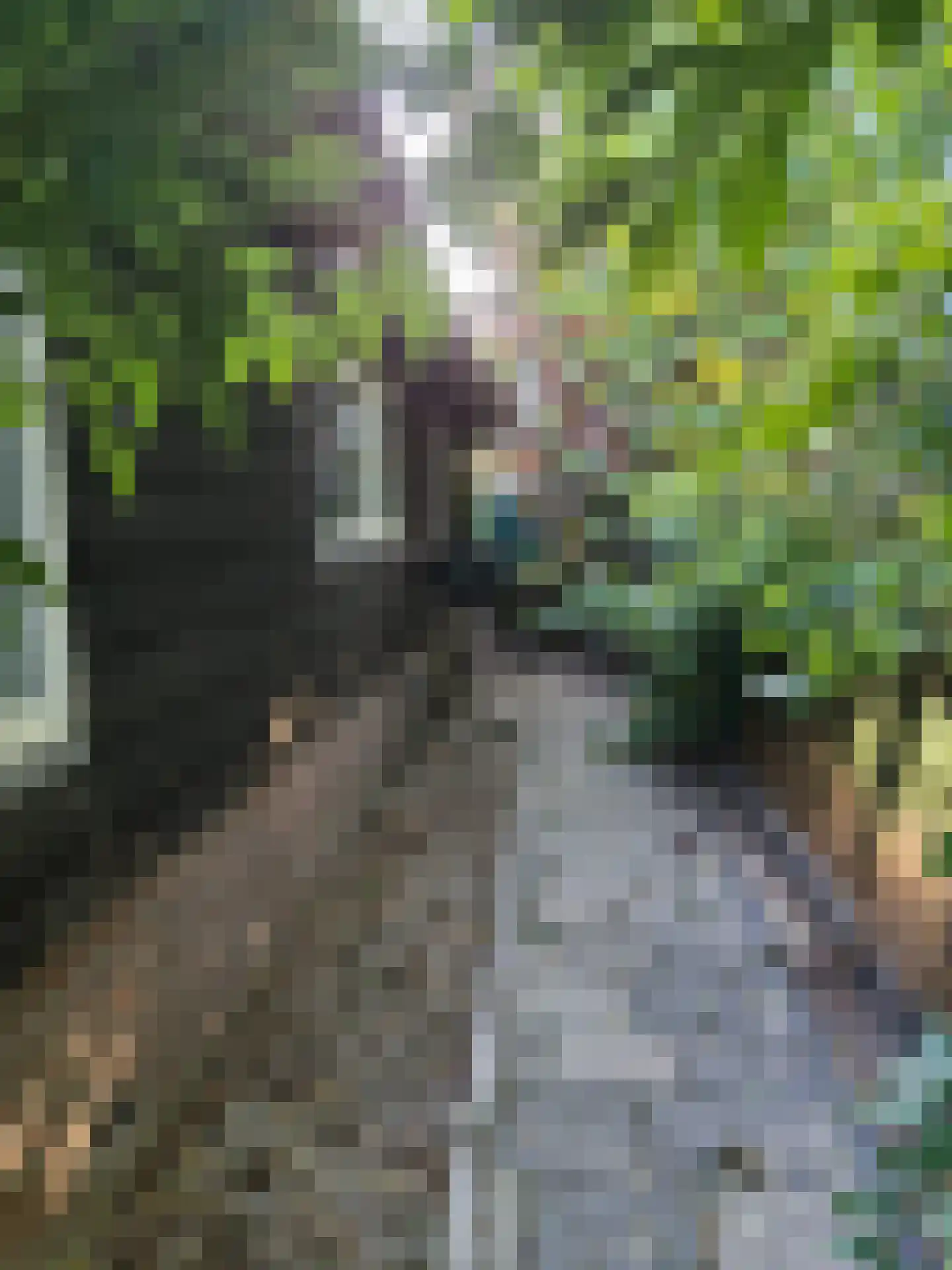 Haghoeksweg 37 Almelo thumbnail 50