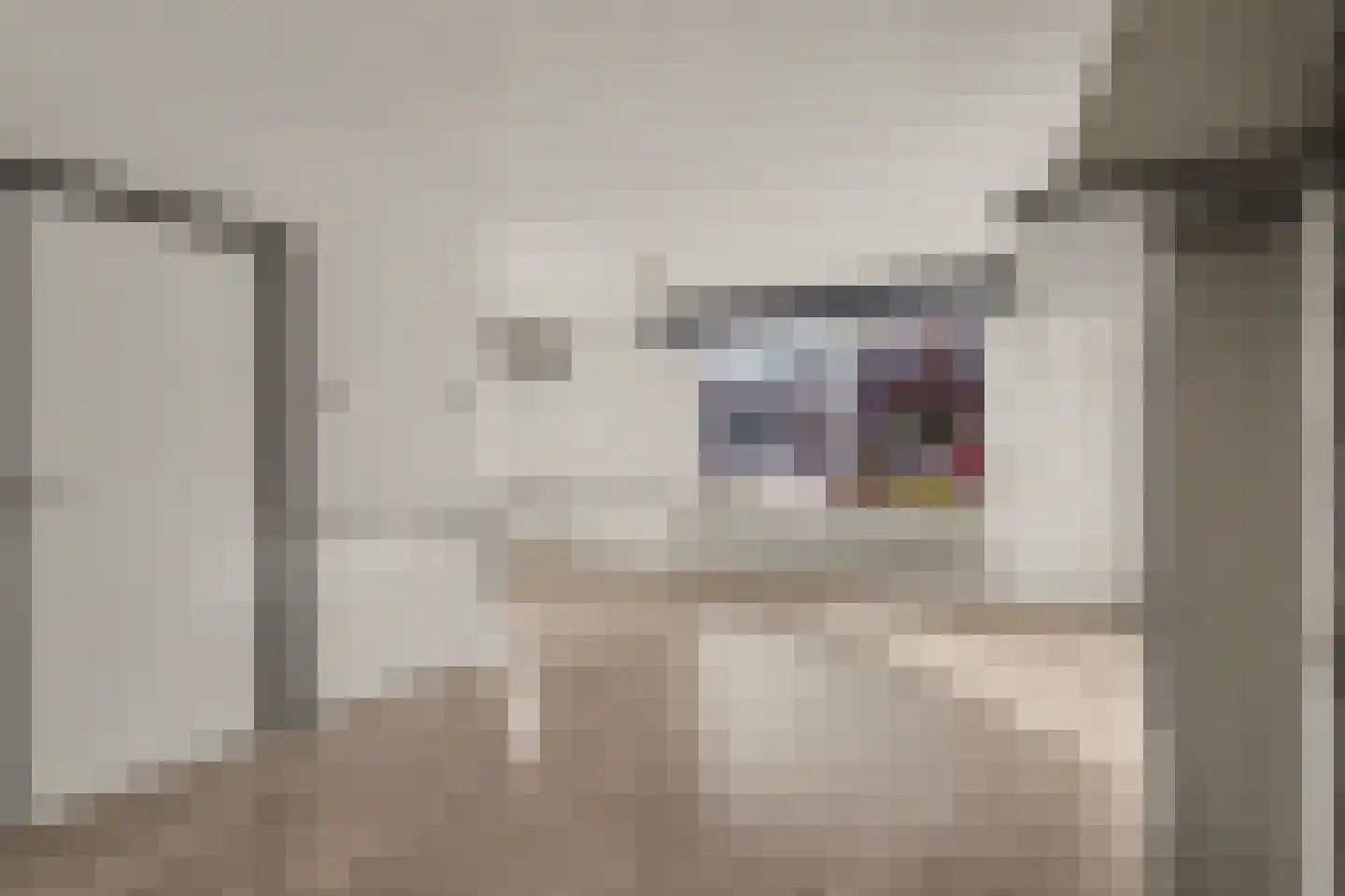 Haghoeksweg 9 a Almelo thumbnail 11