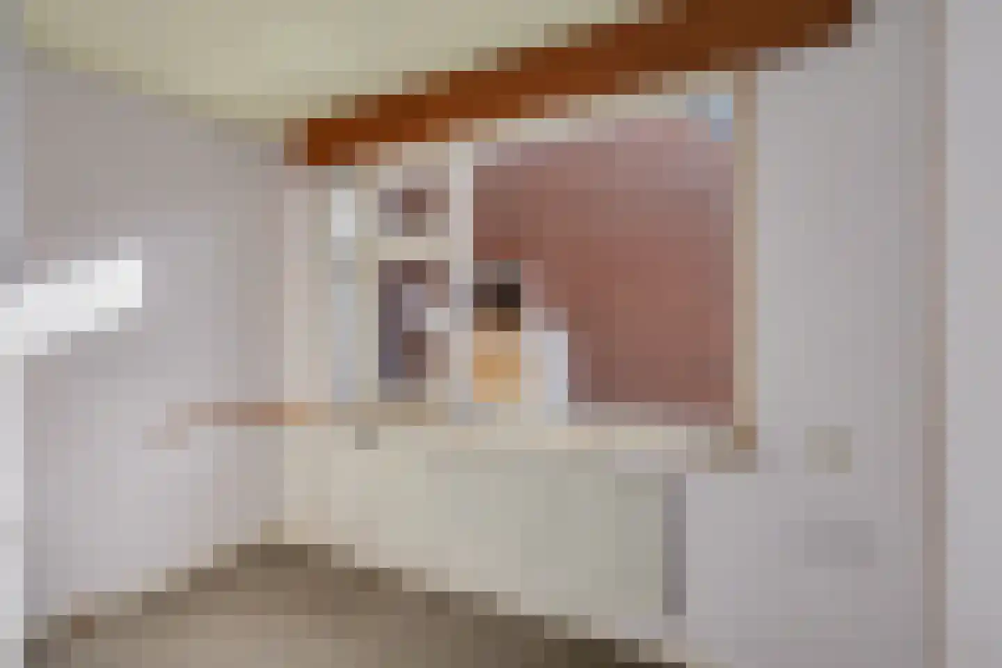 Haghoeksweg 9 a Almelo thumbnail 25