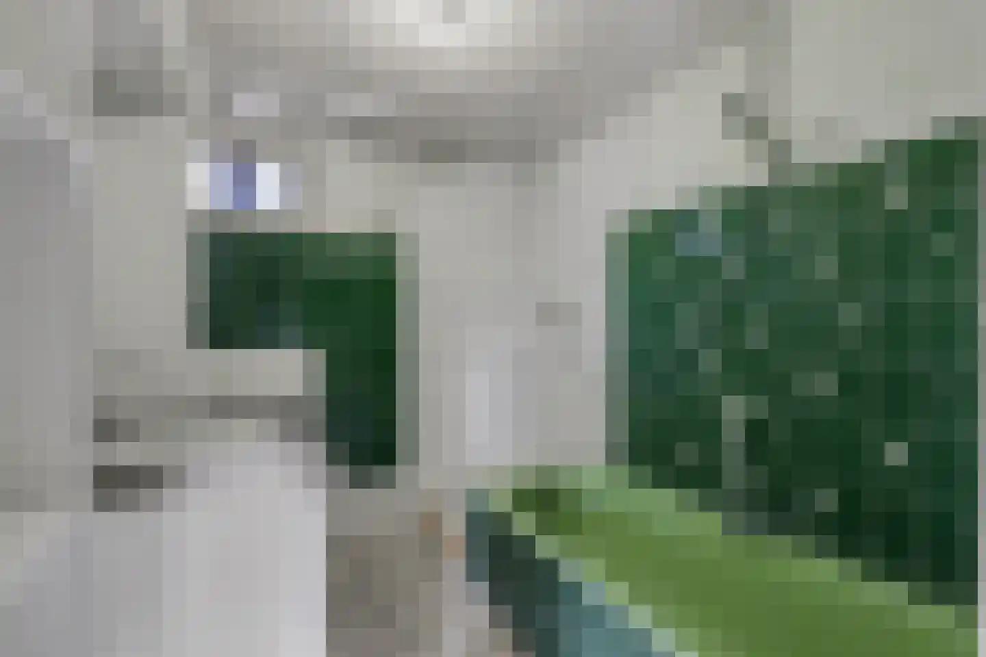 Haghoeksweg 9 a Almelo thumbnail 26