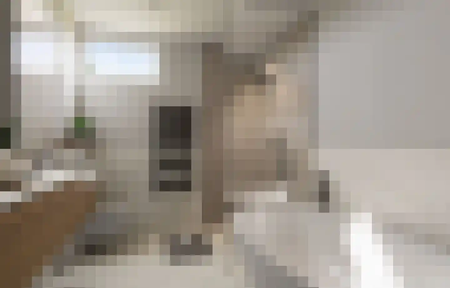 Haghoeksweg 9 a Almelo thumbnail 27