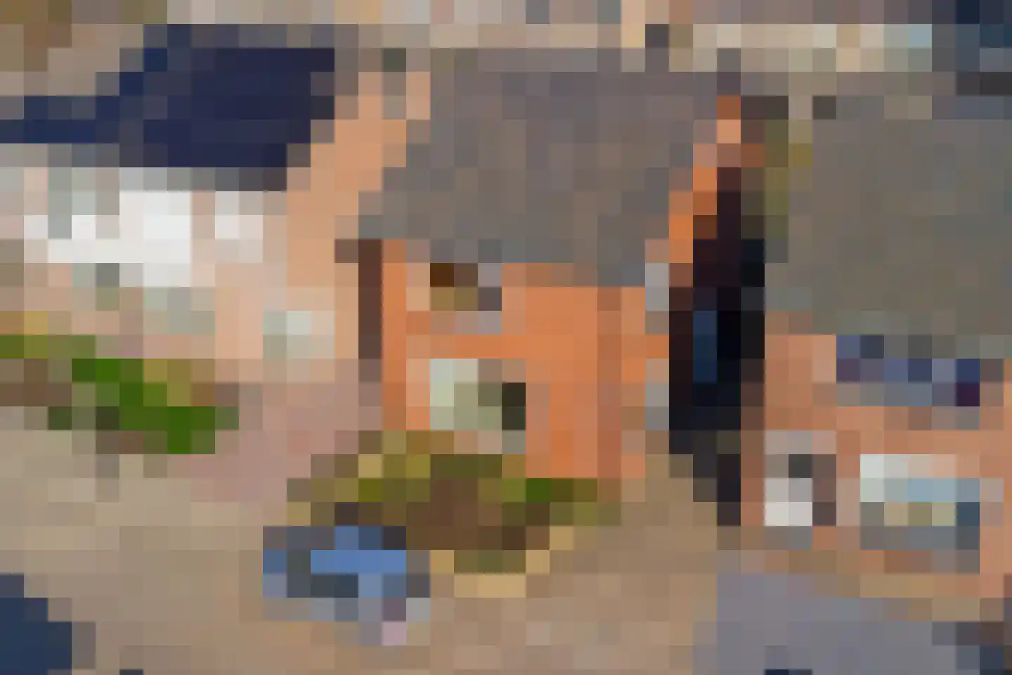 Haghoeksweg 9 a Almelo thumbnail 43