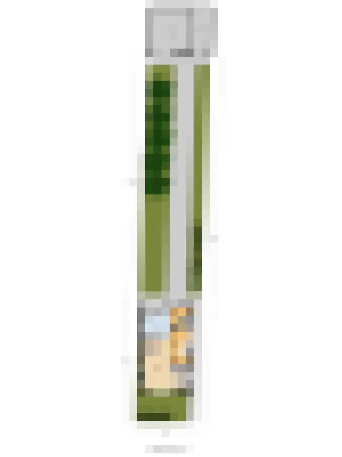Haghoeksweg 9 a Almelo thumbnail 47