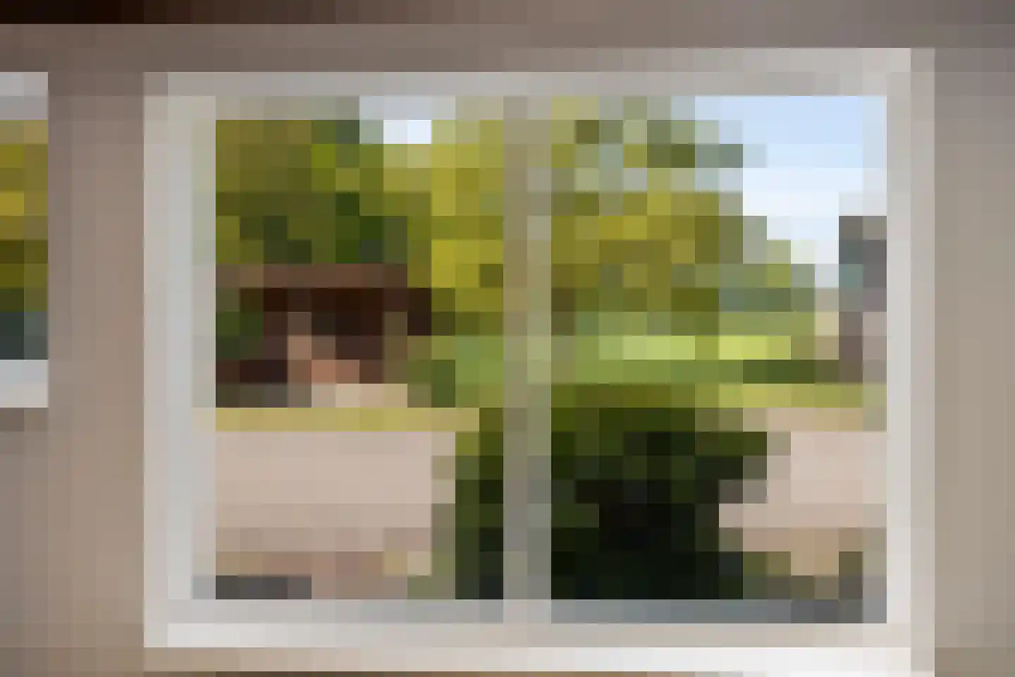 Hagmolenweg 10 Ambt Delden thumbnail 20