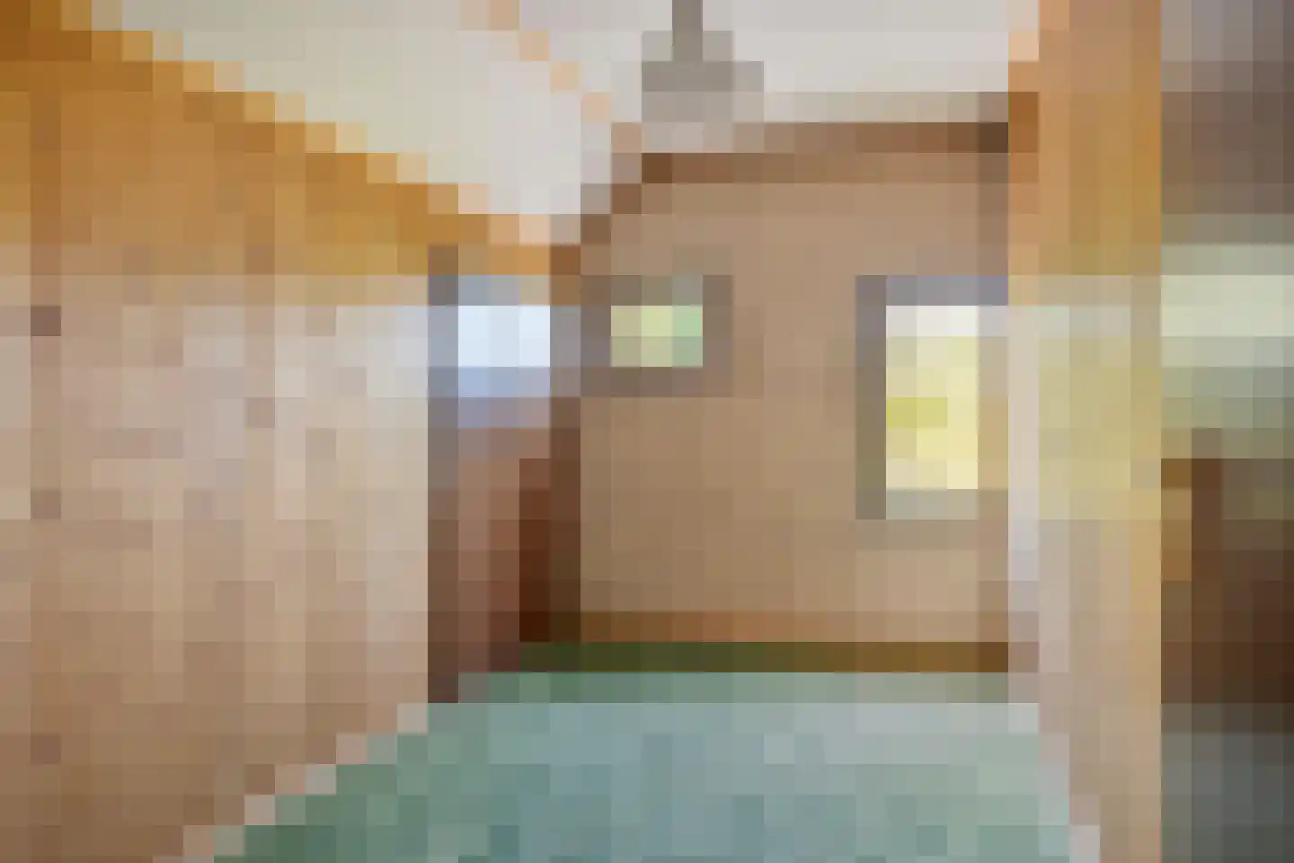 Hagmolenweg 10 Ambt Delden thumbnail 25