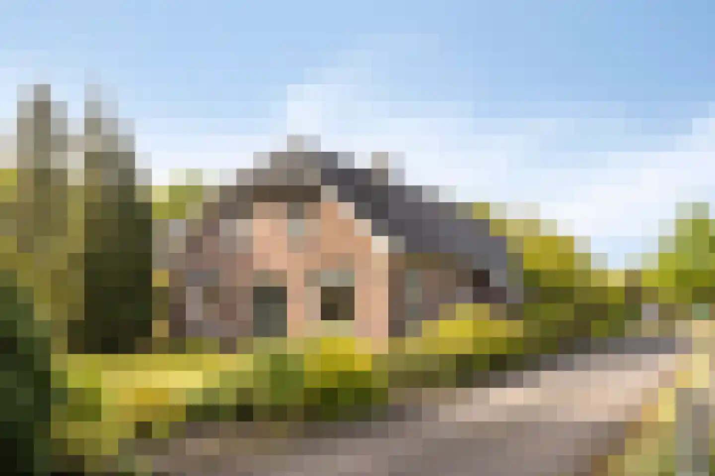 Hagmolenweg 10 Ambt Delden thumbnail 28