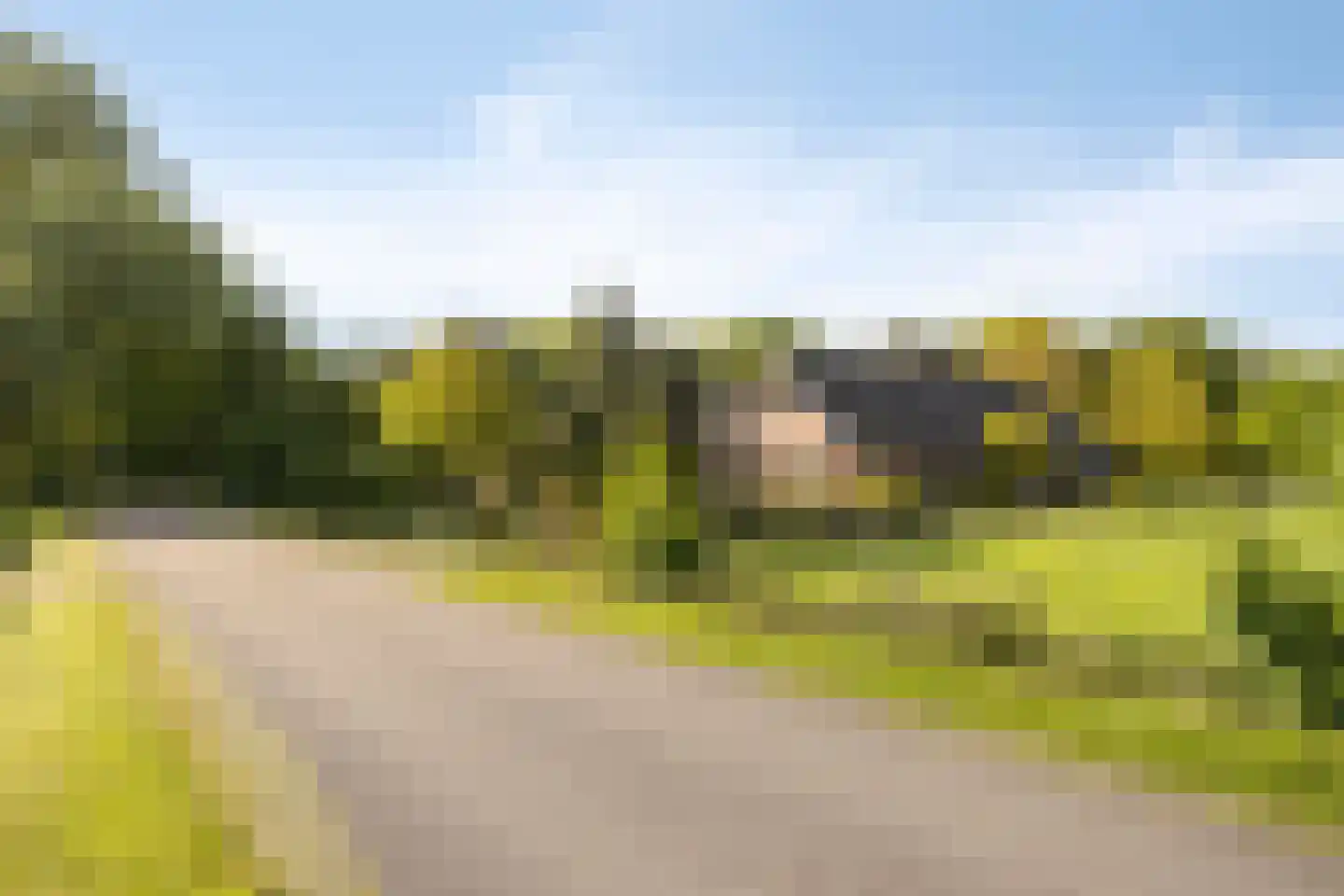 Hagmolenweg 10 Ambt Delden thumbnail 46