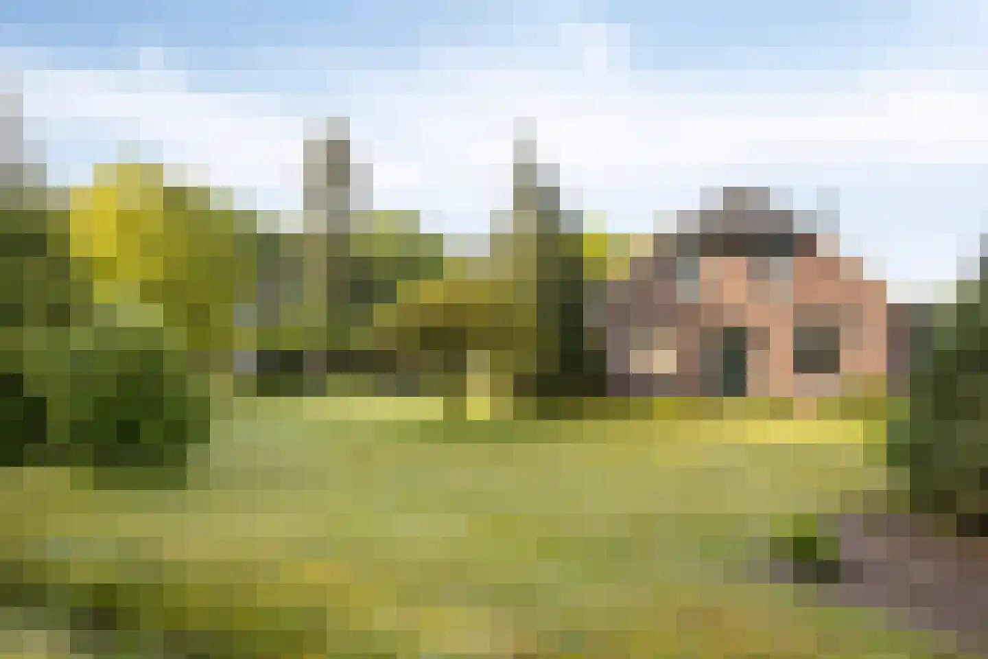 Hagmolenweg 10 Ambt Delden thumbnail 48