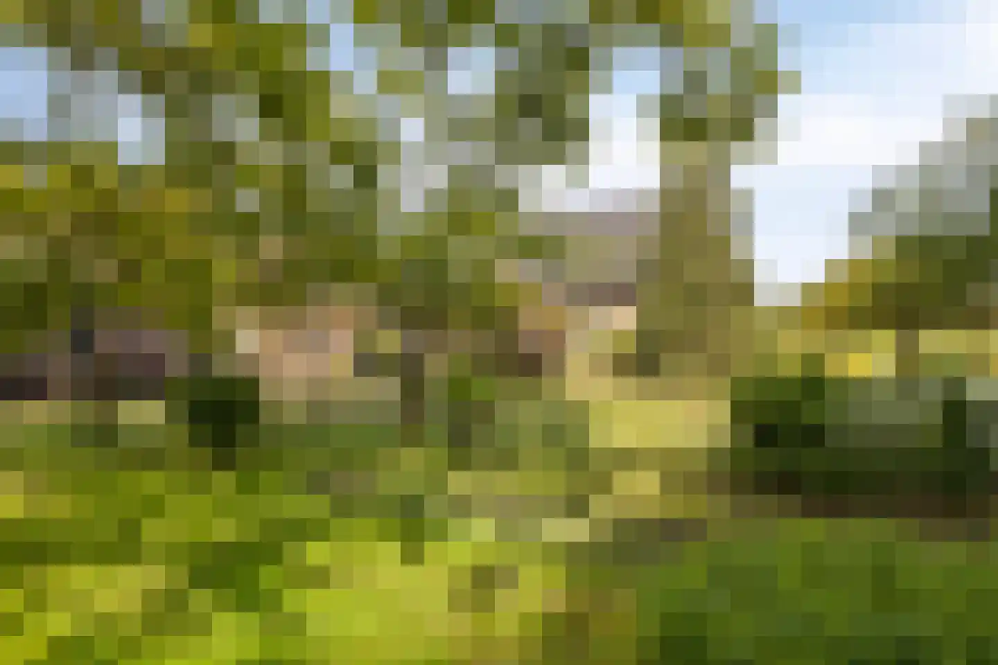 Hagmolenweg 10 Ambt Delden thumbnail 49