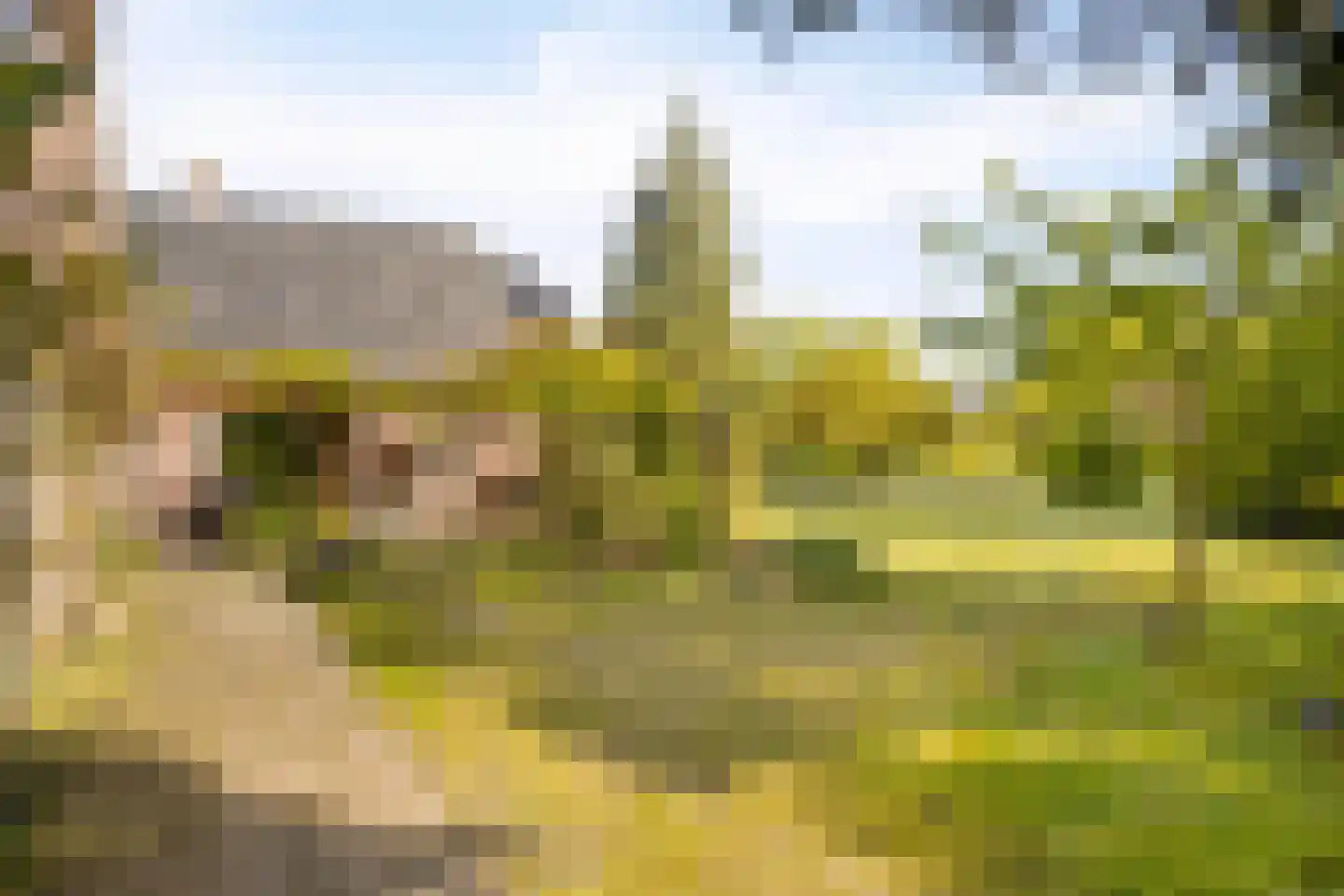 Hagmolenweg 10 Ambt Delden thumbnail 50