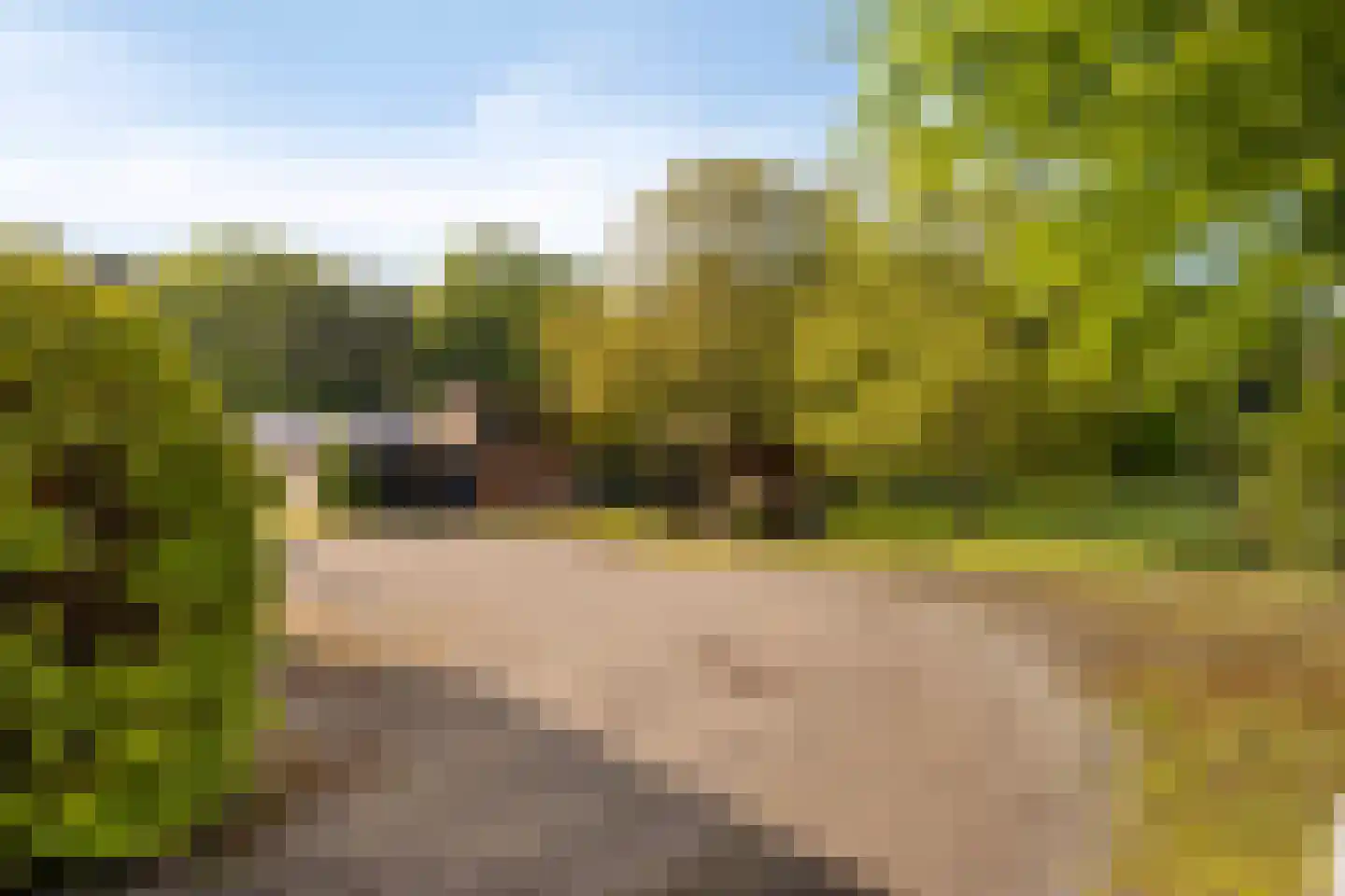 Hagmolenweg 10 Ambt Delden thumbnail 52