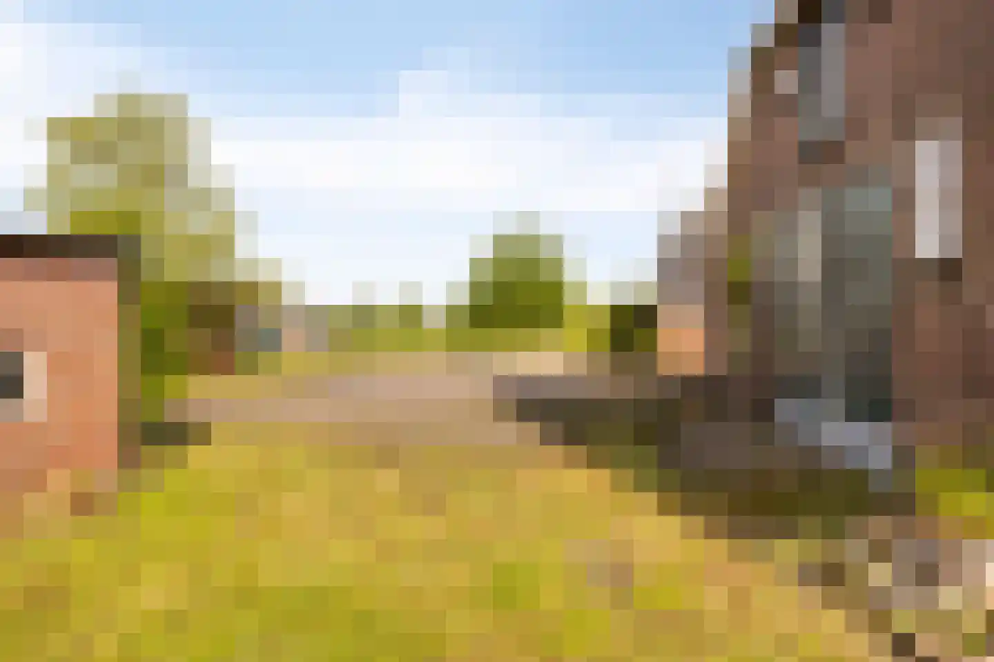 Hagmolenweg 10 Ambt Delden thumbnail 55