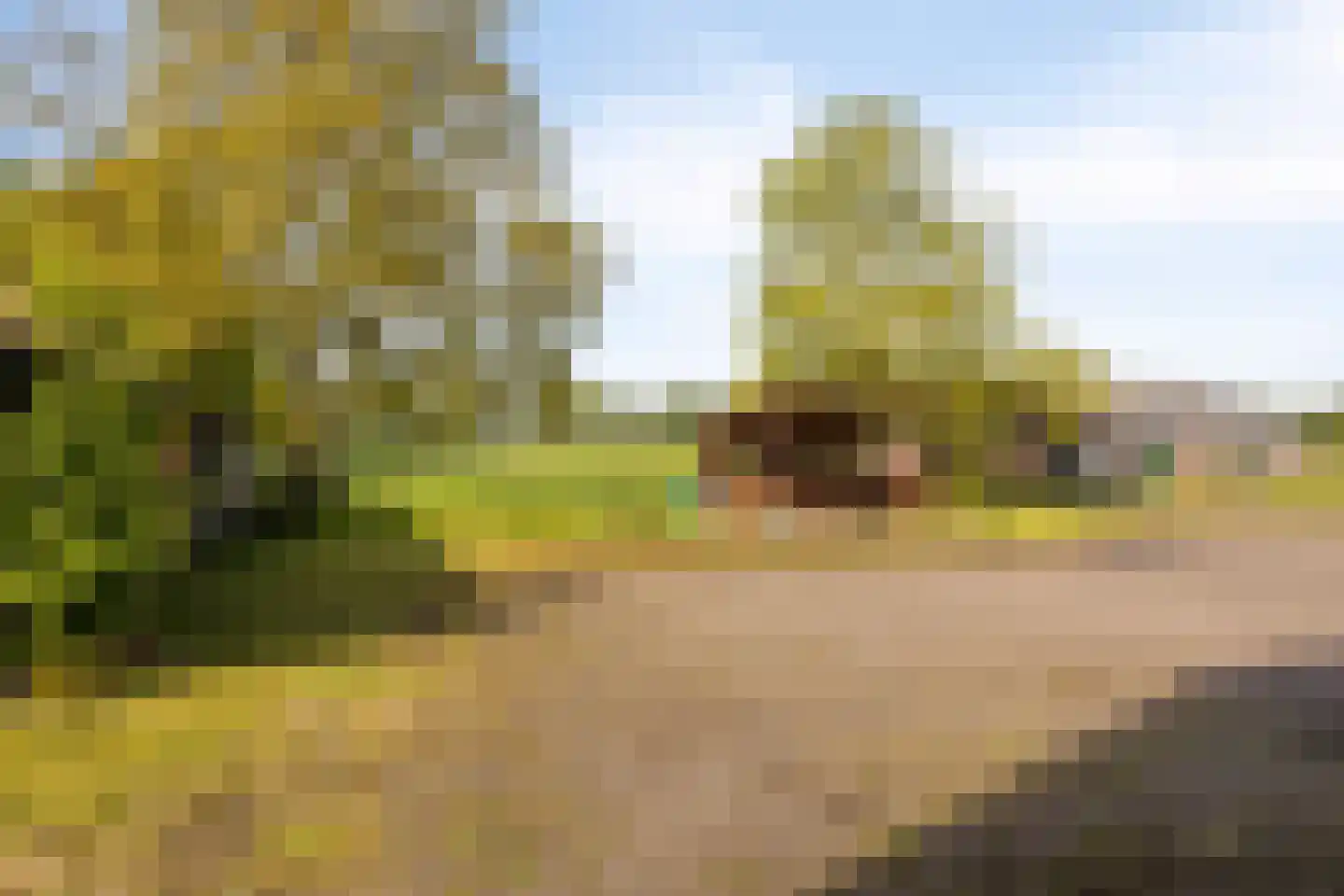 Hagmolenweg 10 Ambt Delden thumbnail 56