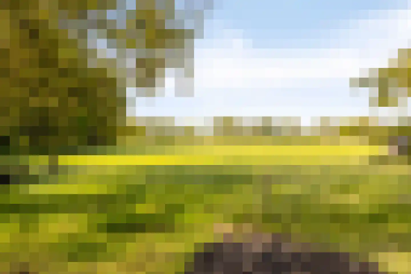 Hagmolenweg 10 Ambt Delden thumbnail 61