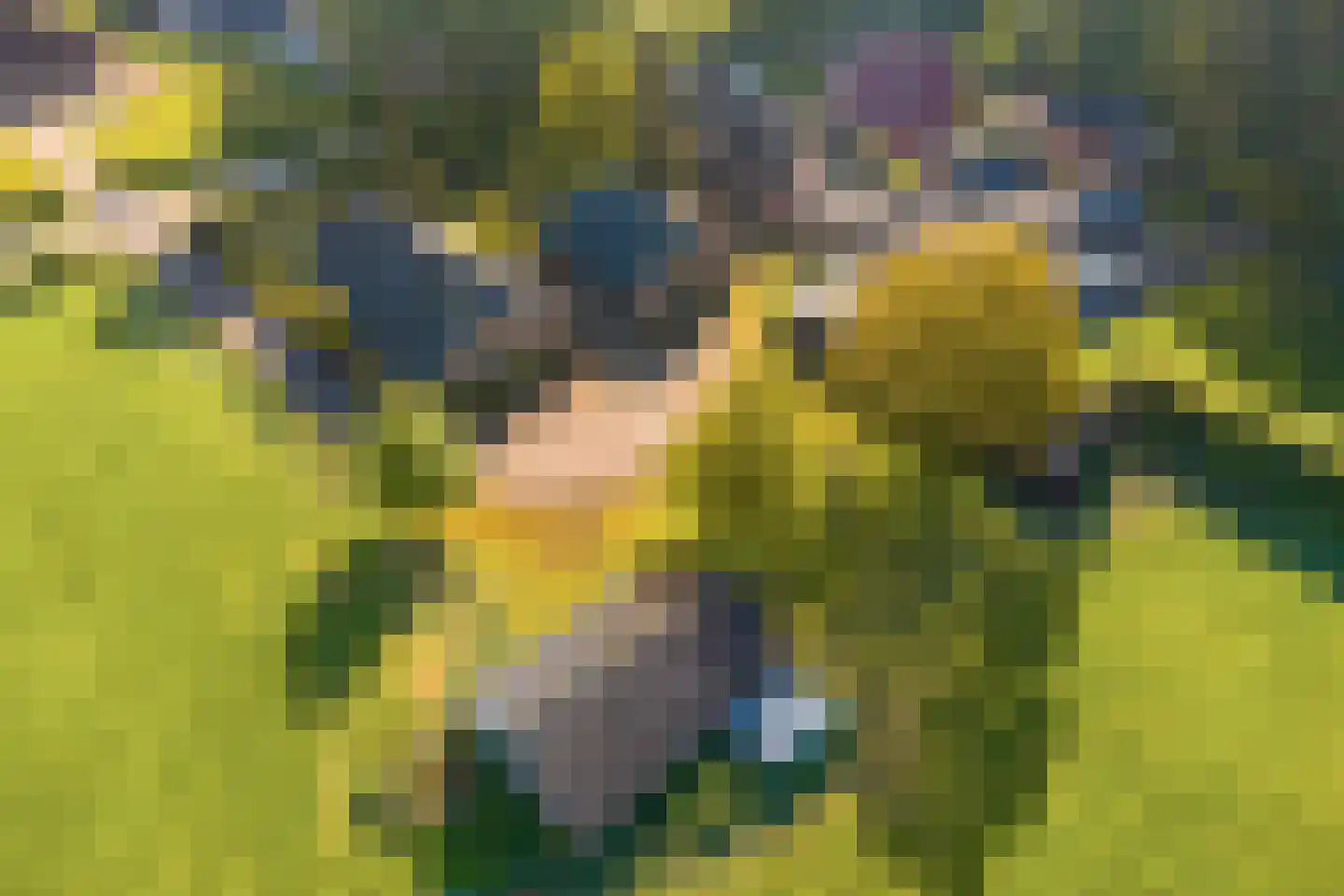 Hagmolenweg 10 Ambt Delden thumbnail 64