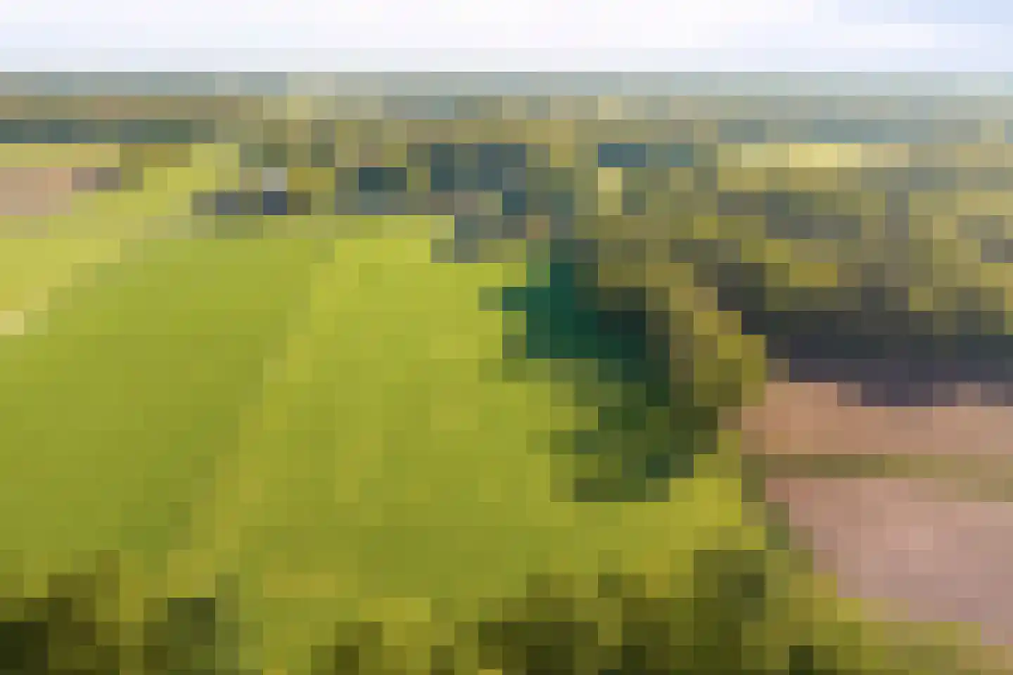 Hagmolenweg 10 Ambt Delden thumbnail 66
