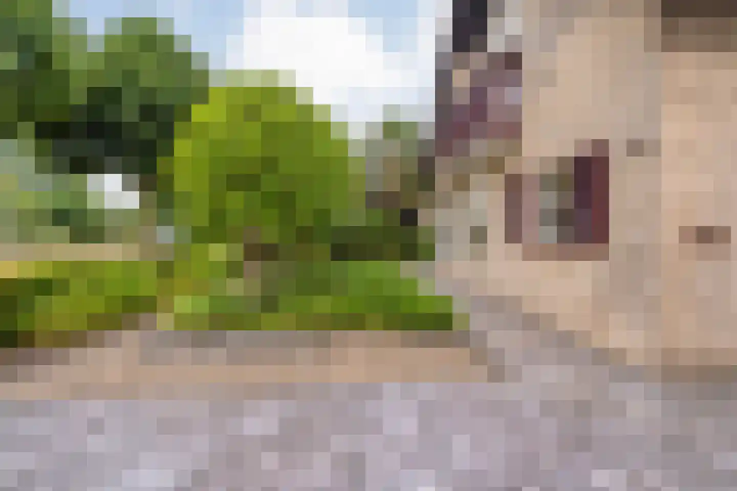Hagslagen 163 Rijssen thumbnail 10