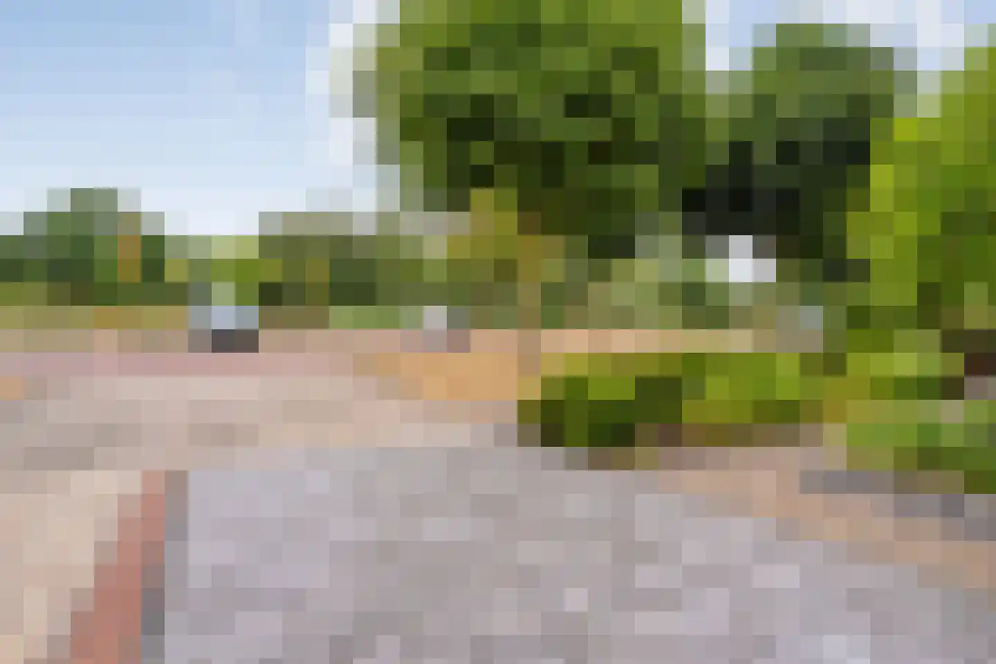 Hagslagen 163 Rijssen thumbnail 11
