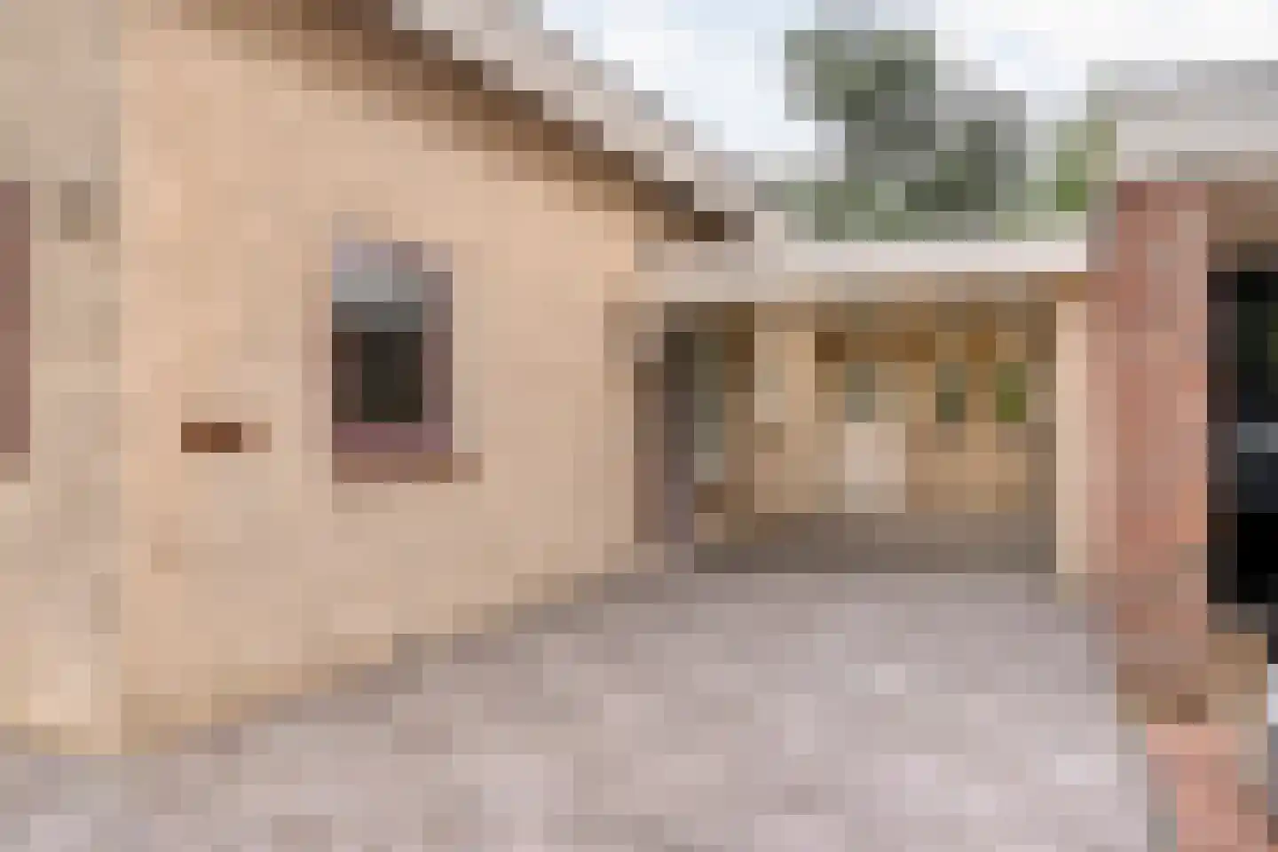 Hagslagen 163 Rijssen thumbnail 12