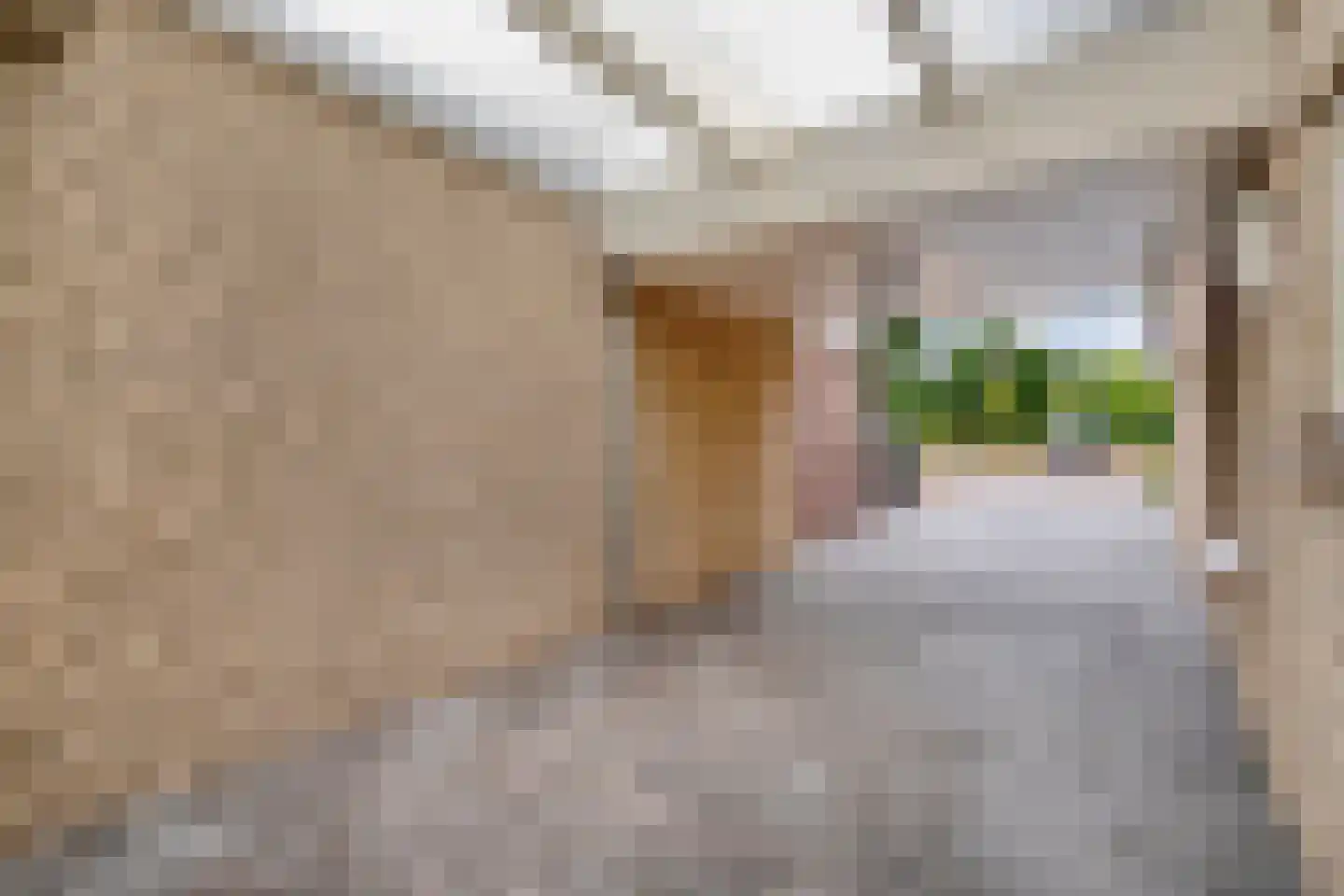 Hagslagen 163 Rijssen thumbnail 15