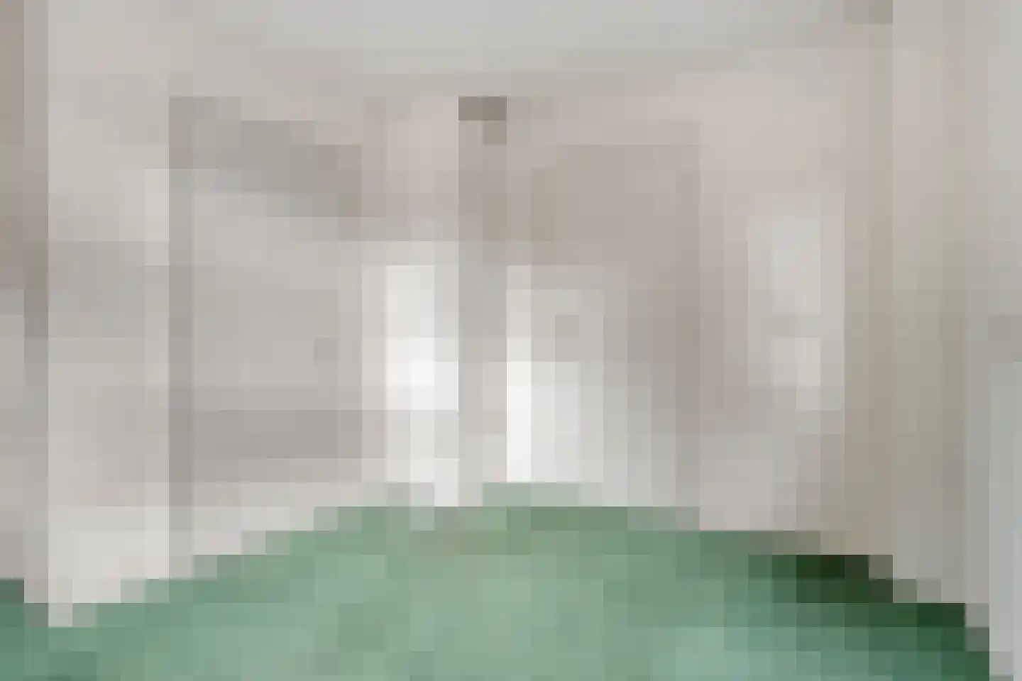 Hagslagen 163 Rijssen thumbnail 20