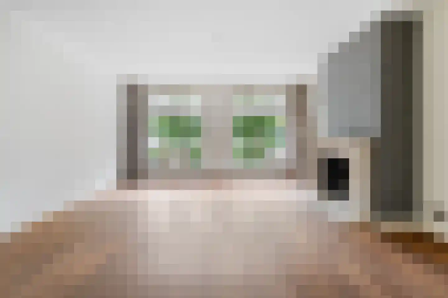 Hagslagen 163 Rijssen thumbnail 22