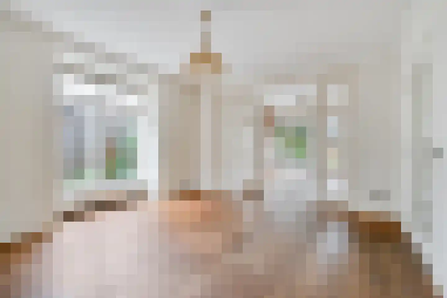 Hagslagen 163 Rijssen thumbnail 26