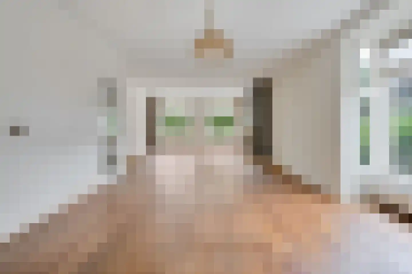 Hagslagen 163 Rijssen thumbnail 29