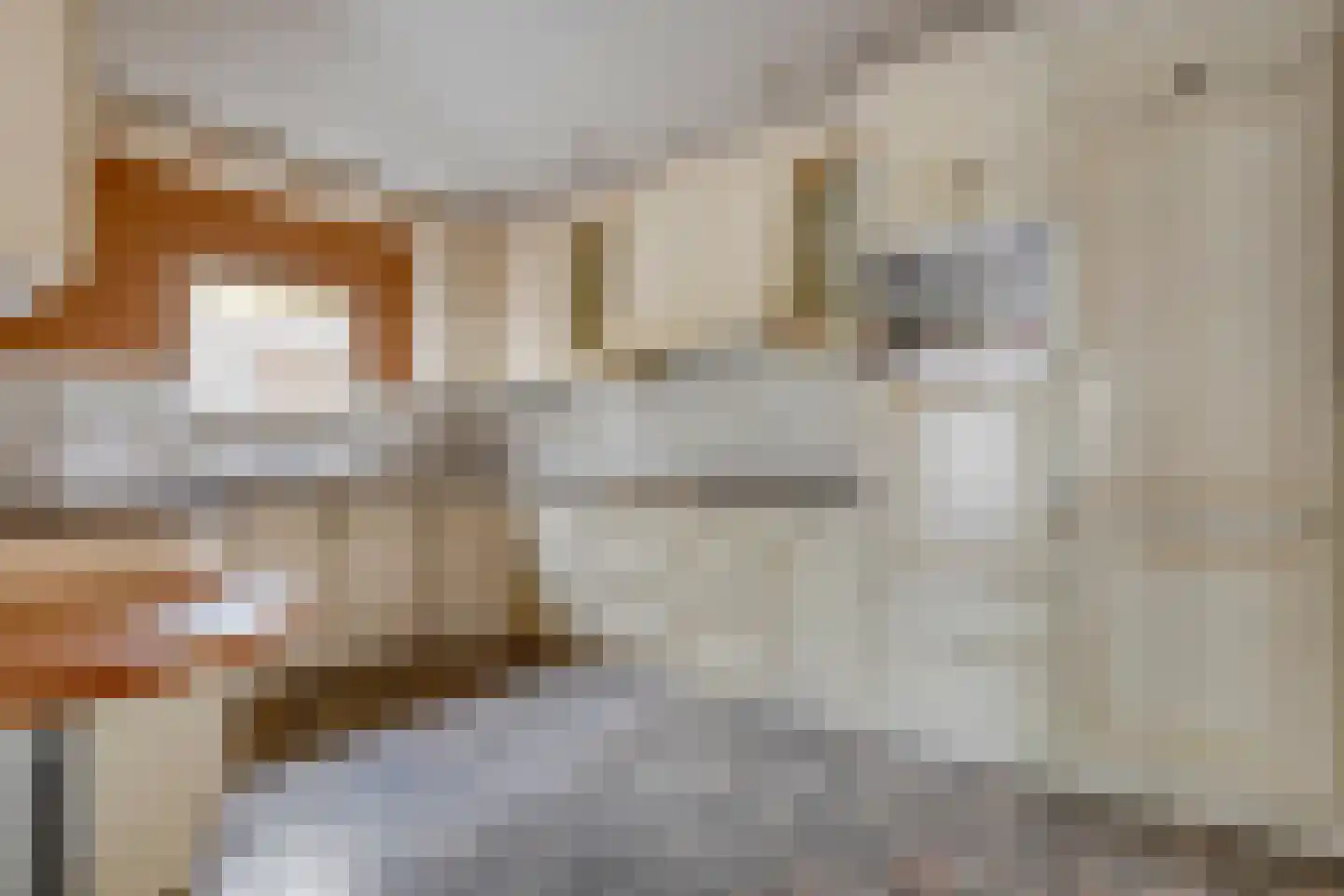 Hagslagen 163 Rijssen thumbnail 36