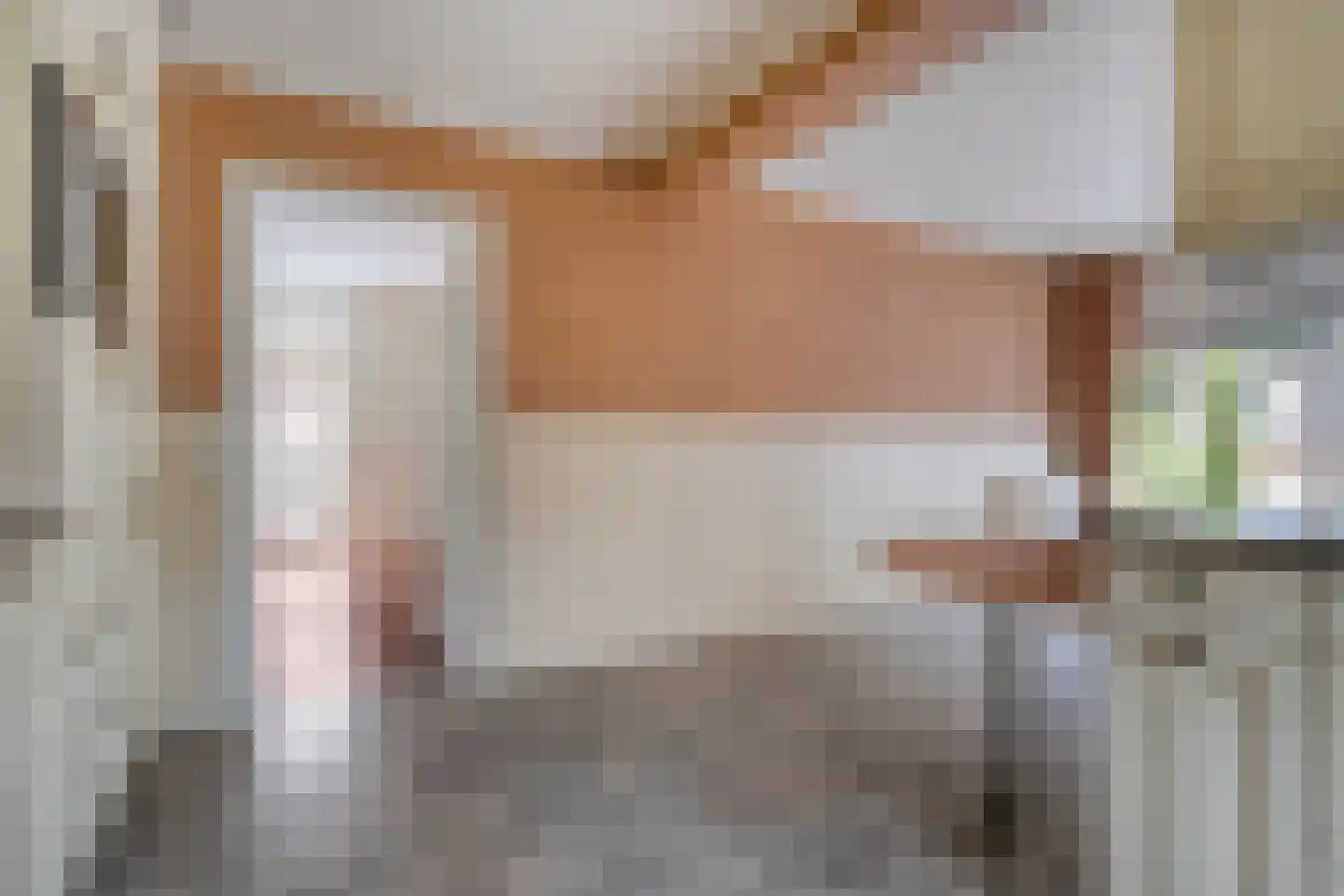 Hagslagen 163 Rijssen thumbnail 37