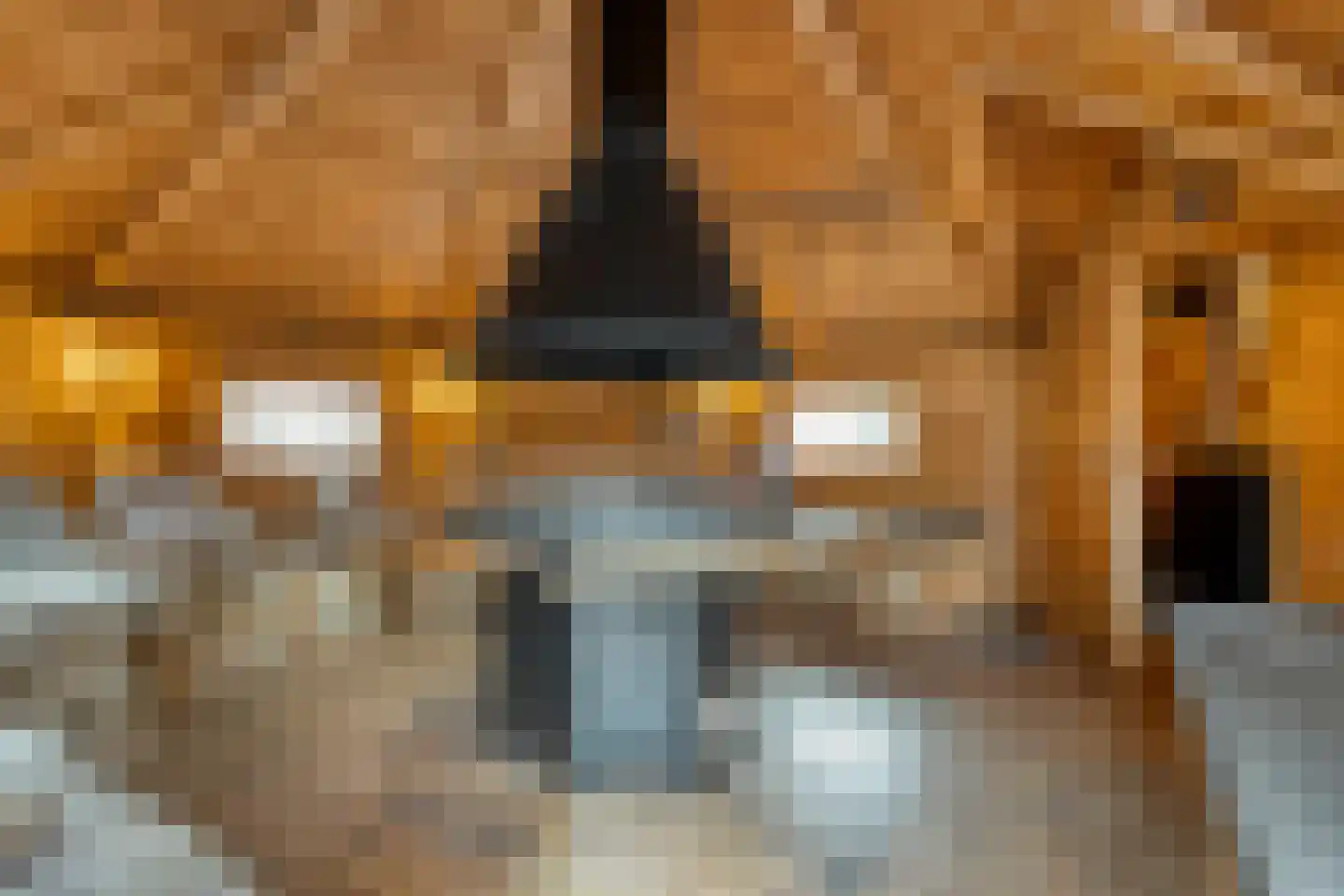 Hagslagen 163 Rijssen thumbnail 4