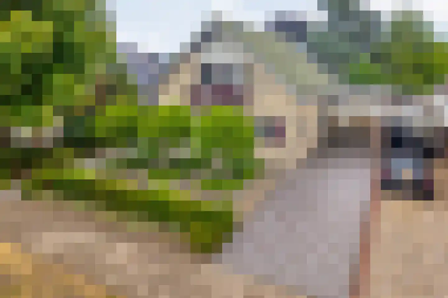 Hagslagen 163 Rijssen thumbnail 5