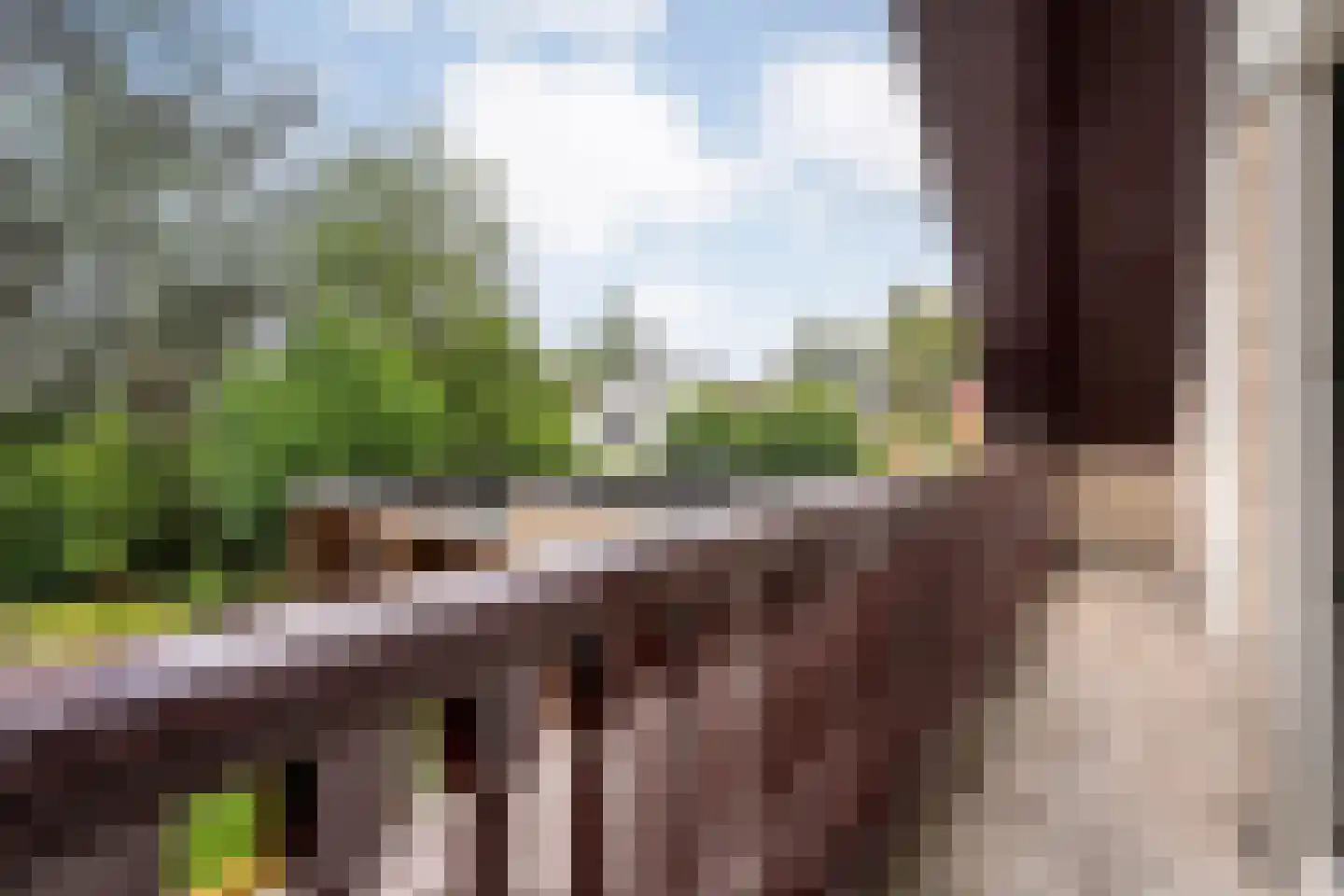 Hagslagen 163 Rijssen thumbnail 57