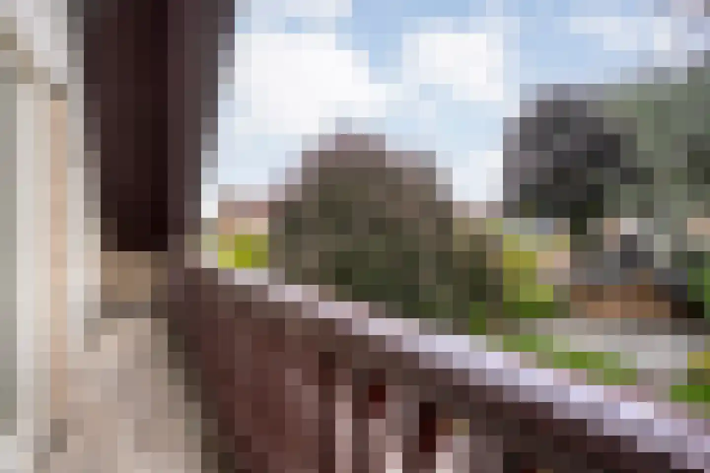 Hagslagen 163 Rijssen thumbnail 58