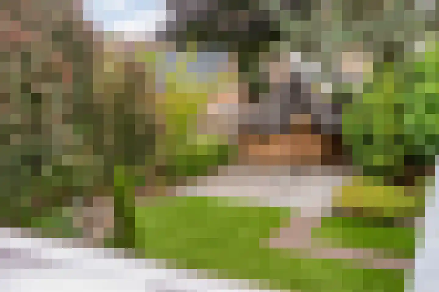 Hagslagen 163 Rijssen thumbnail 59