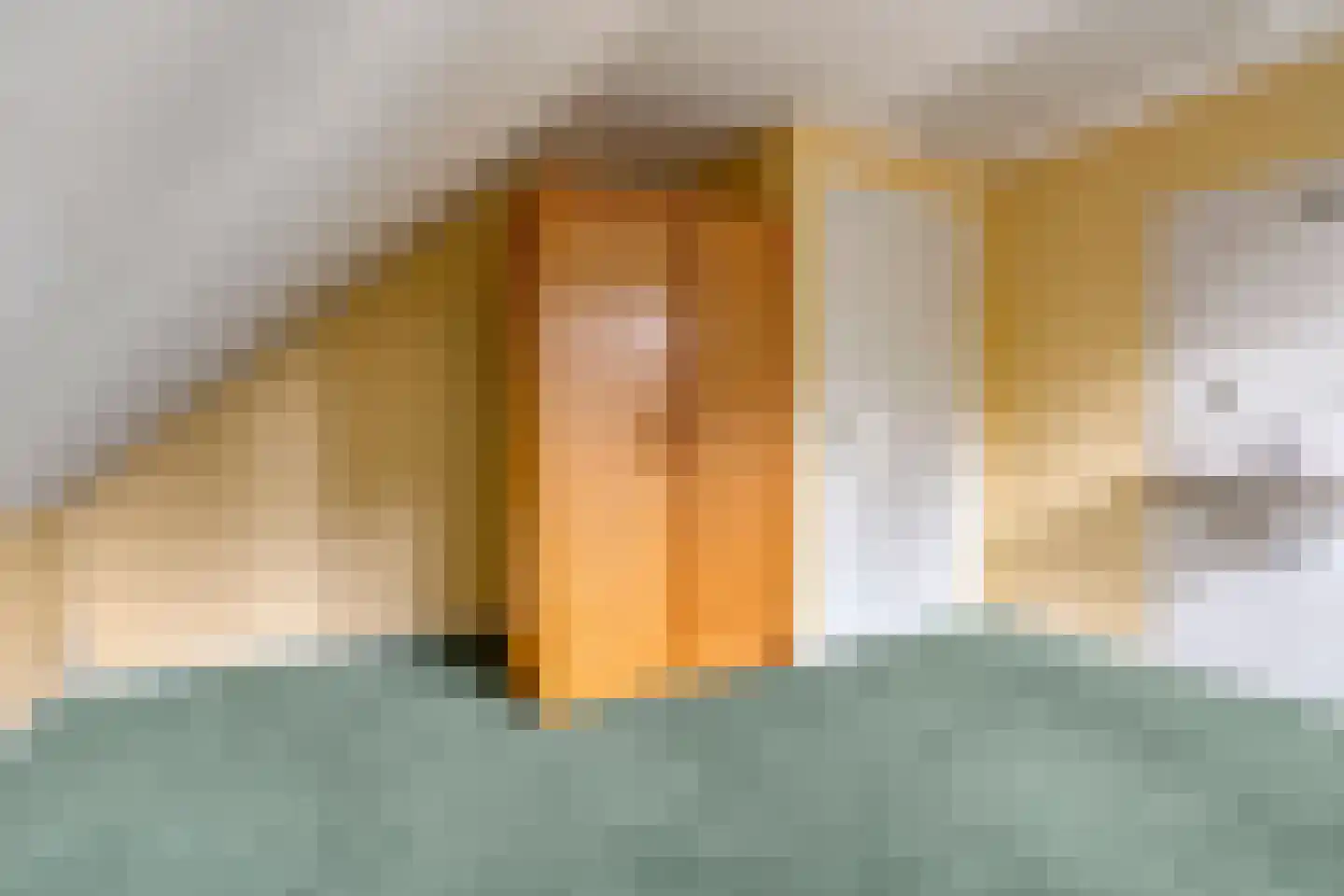 Hagslagen 163 Rijssen thumbnail 61