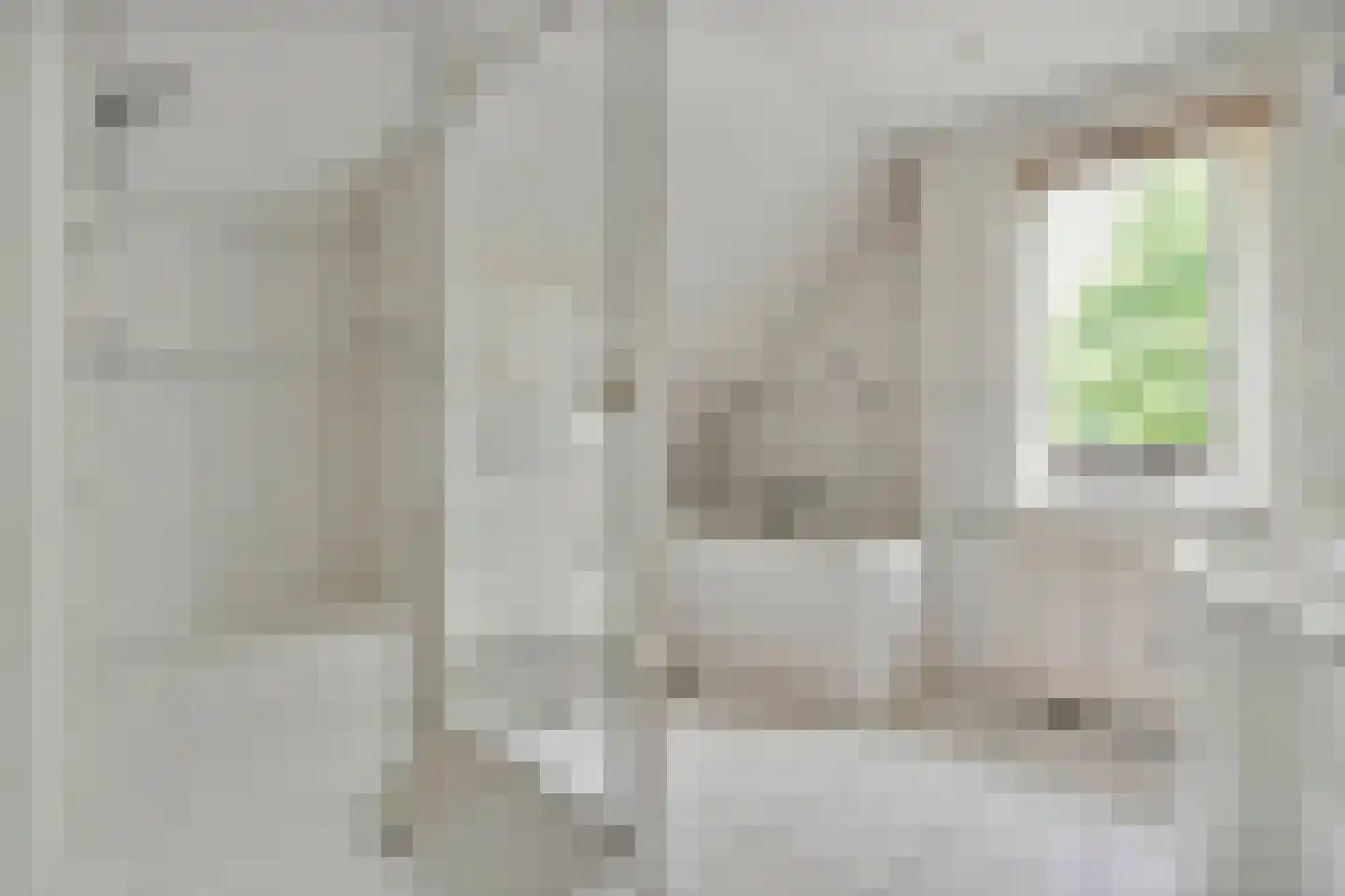 Hagslagen 163 Rijssen thumbnail 64