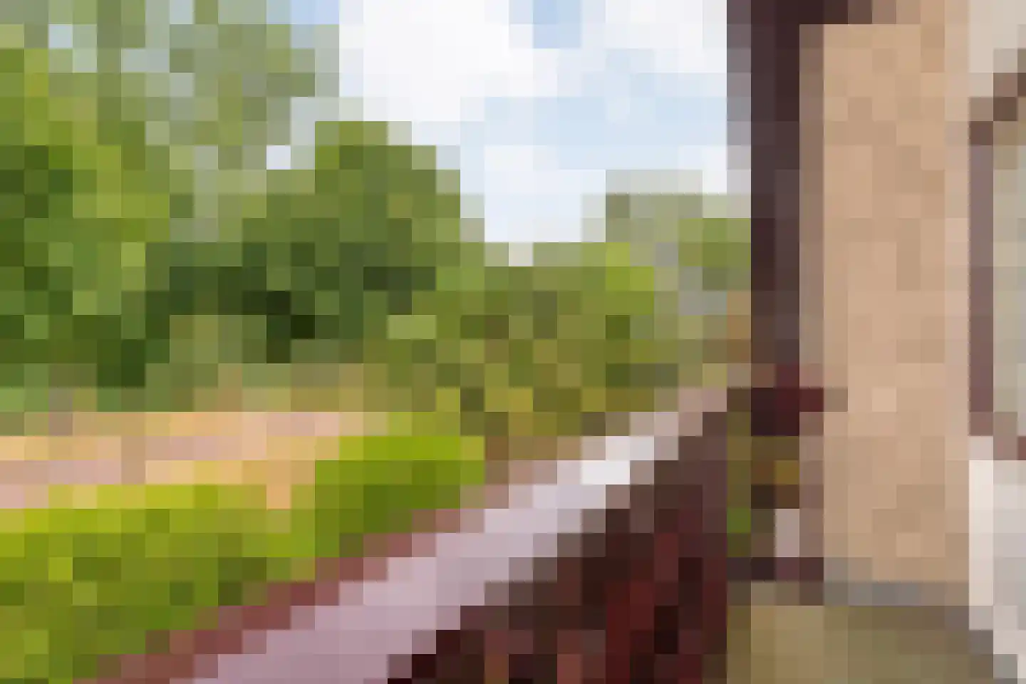 Hagslagen 163 Rijssen thumbnail 68