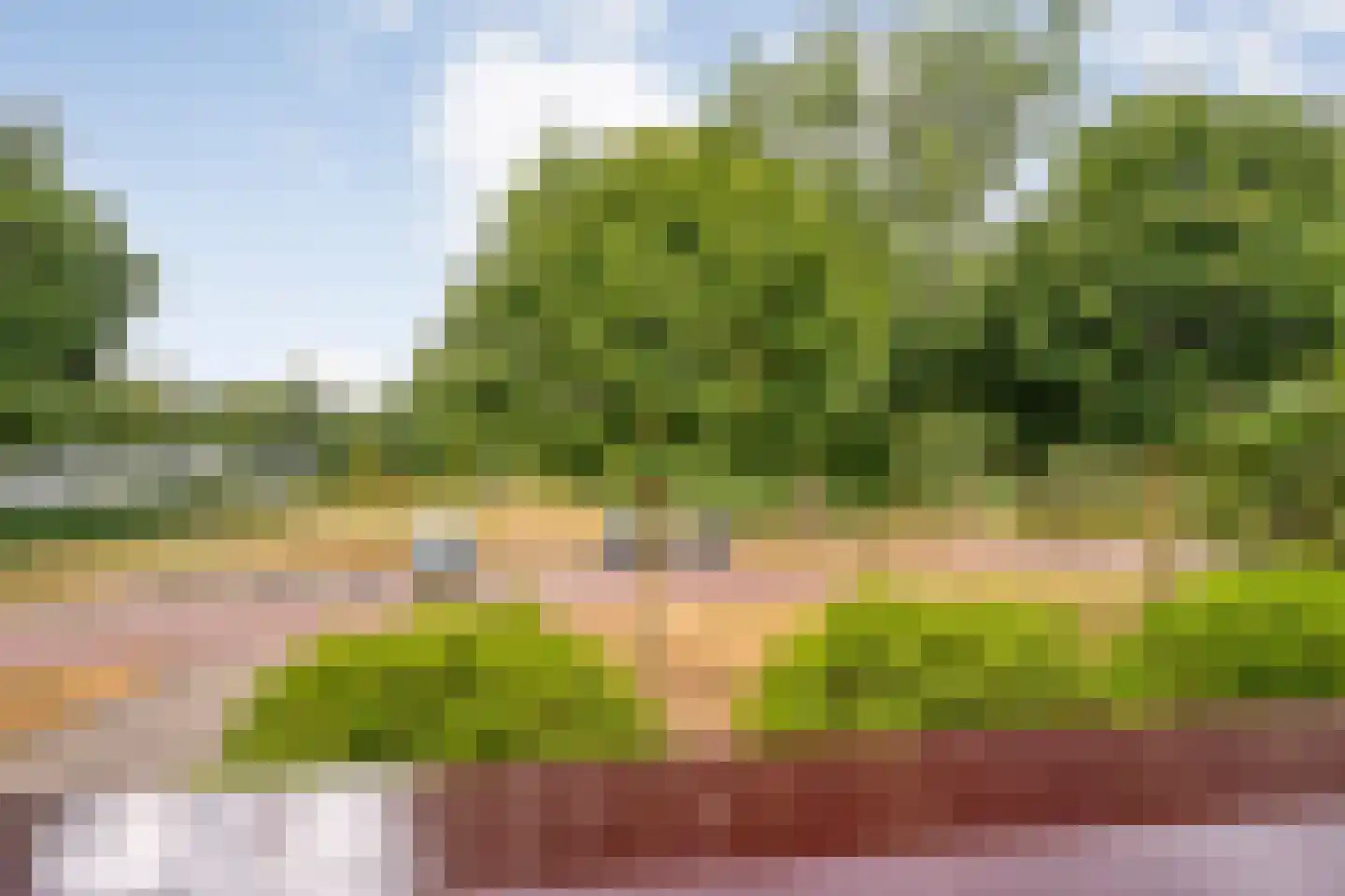 Hagslagen 163 Rijssen thumbnail 69