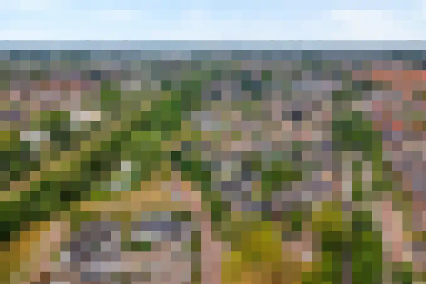 Hagslagen 163 Rijssen thumbnail 7