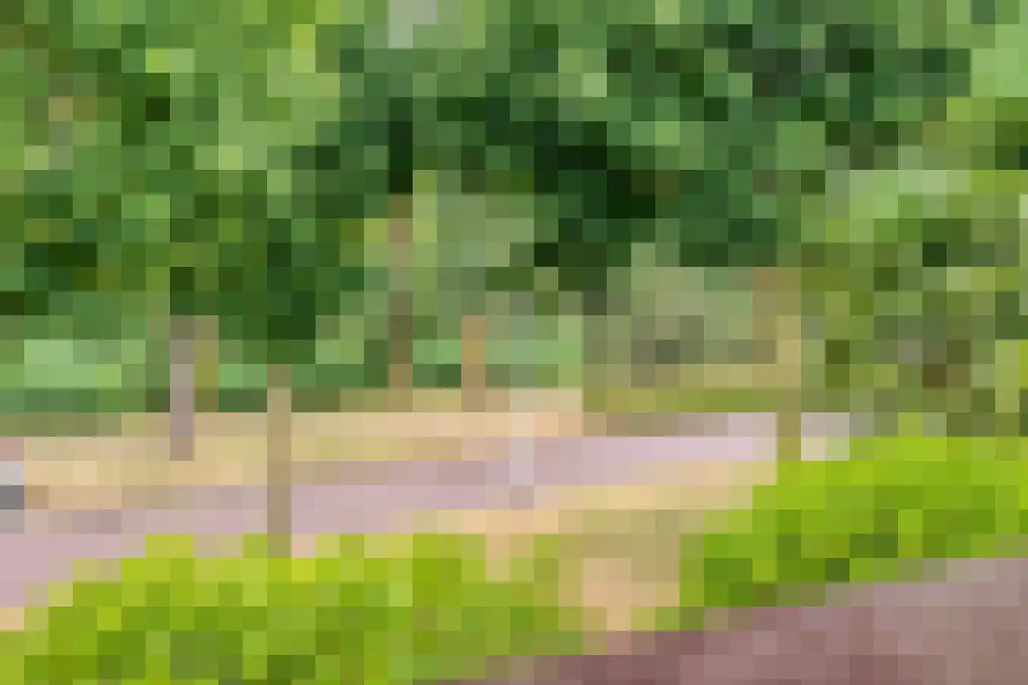 Hagslagen 163 Rijssen thumbnail 70