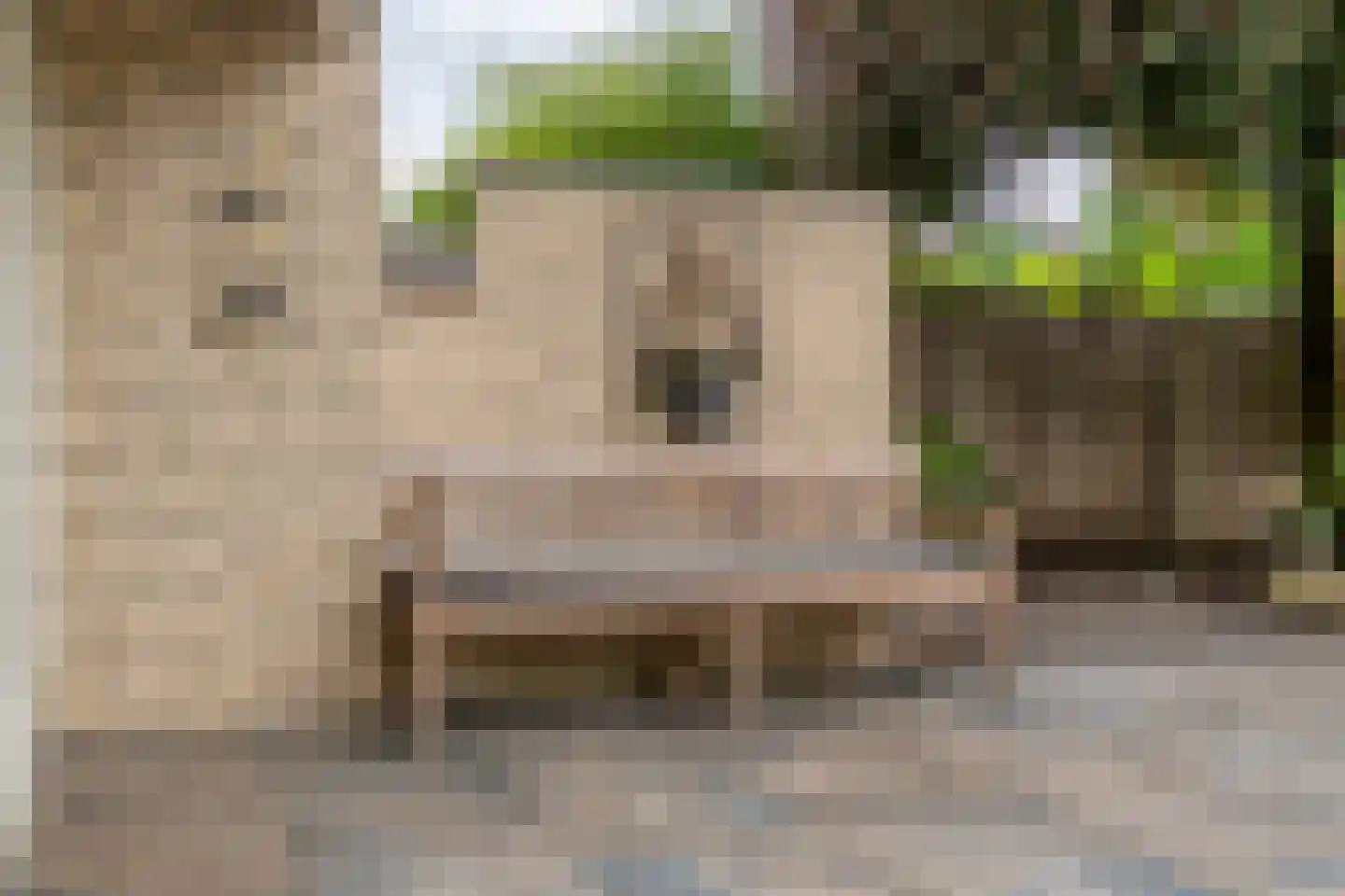 Hagslagen 163 Rijssen thumbnail 74