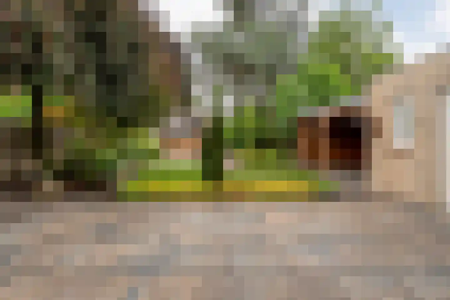 Hagslagen 163 Rijssen thumbnail 76