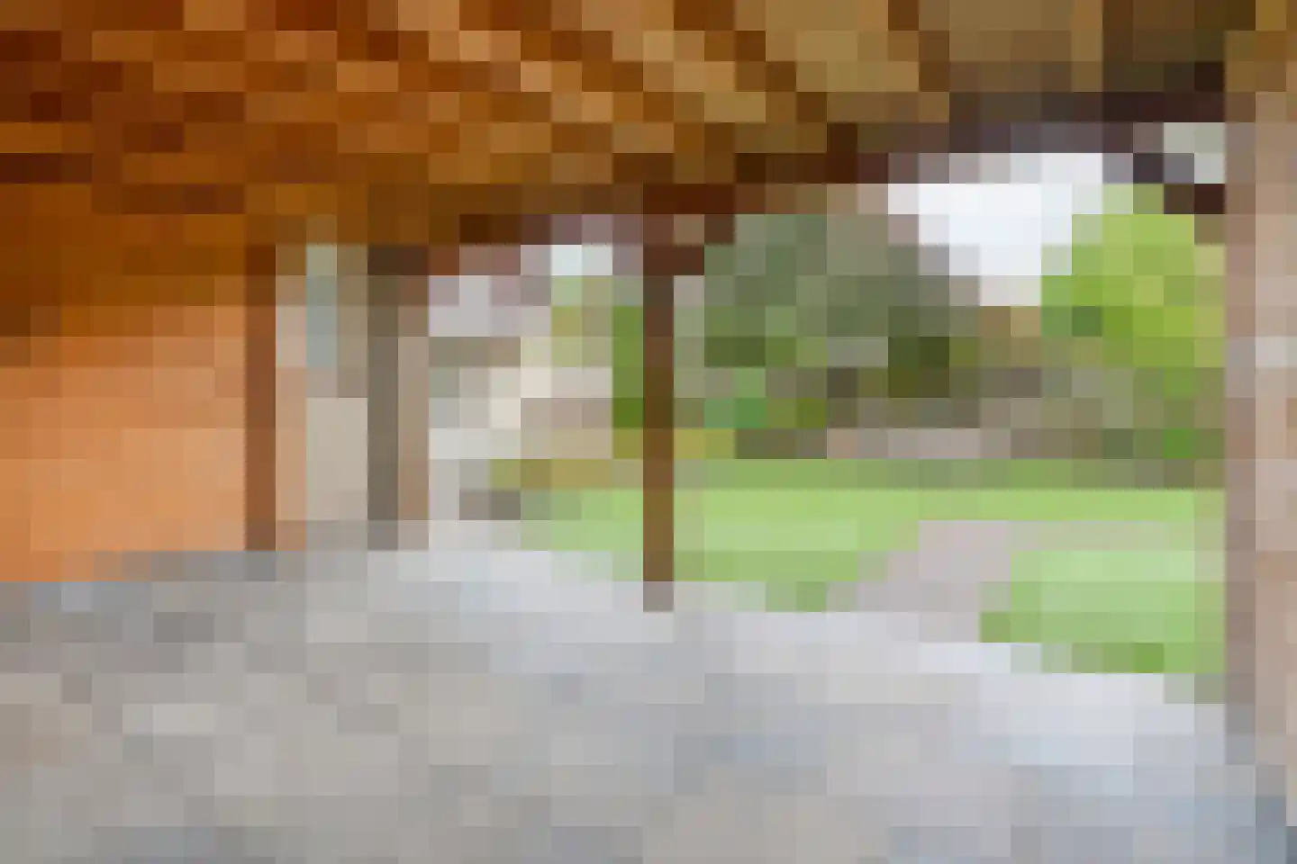 Hagslagen 163 Rijssen thumbnail 78